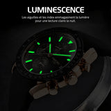 NIBOSI 2615 - luminescence, en français